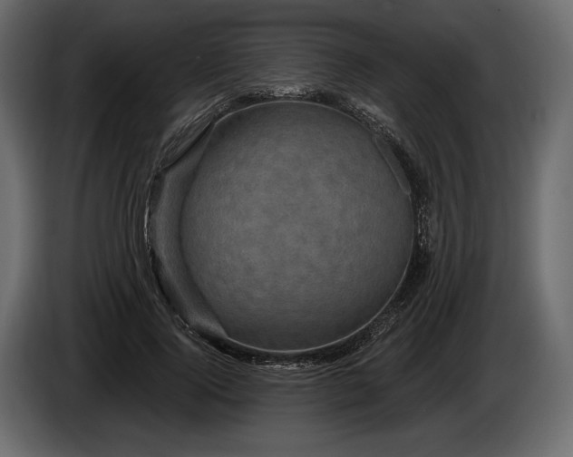 X0000085820740200703231356
