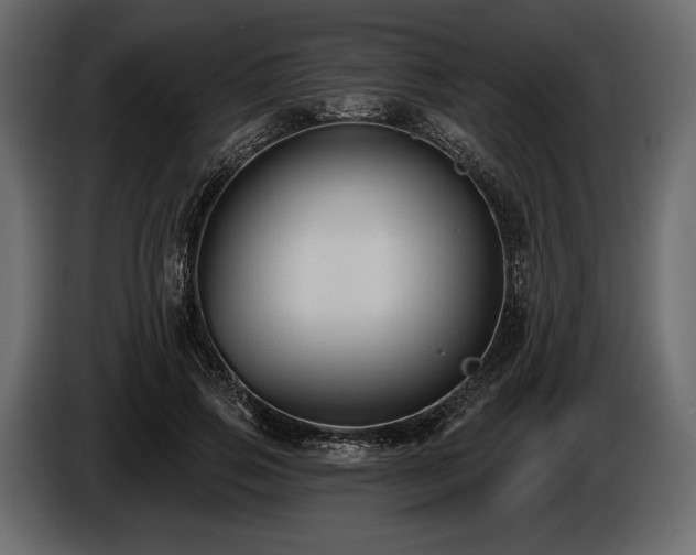 X0000085820741200703231356