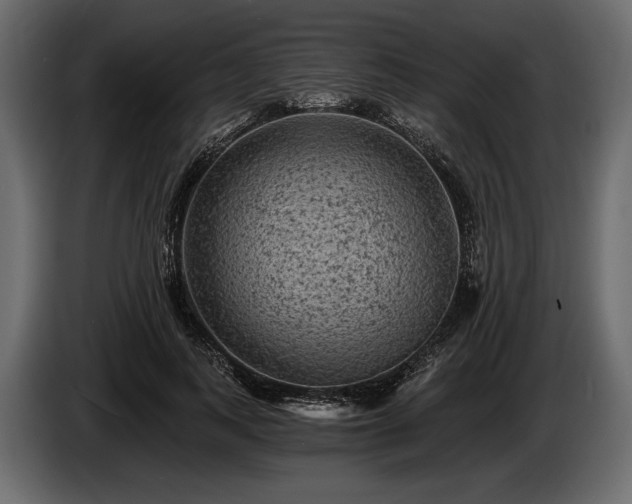 X0000085820743200703231356