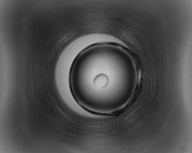 X0000085820744200703231356