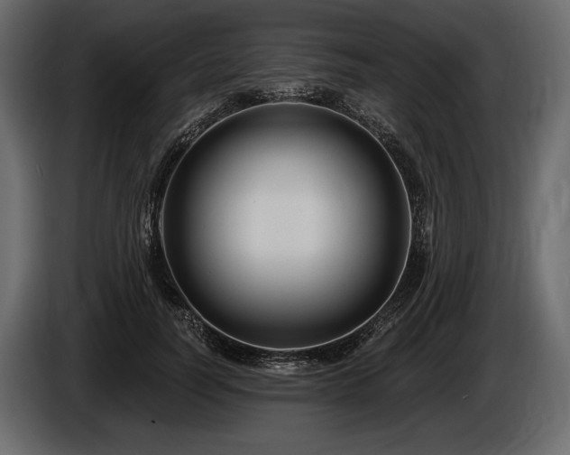 X0000085820746200703231356