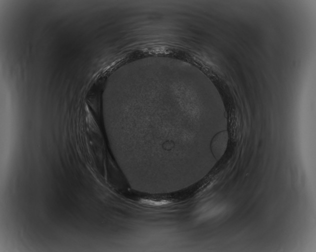 X0000085820747200703231356