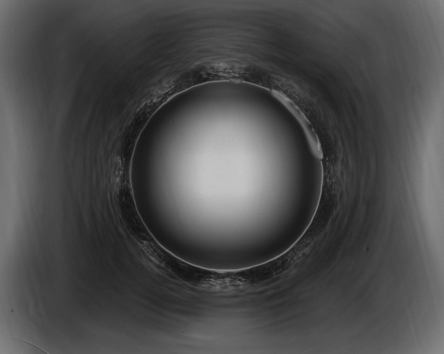 X0000085820752200703231356