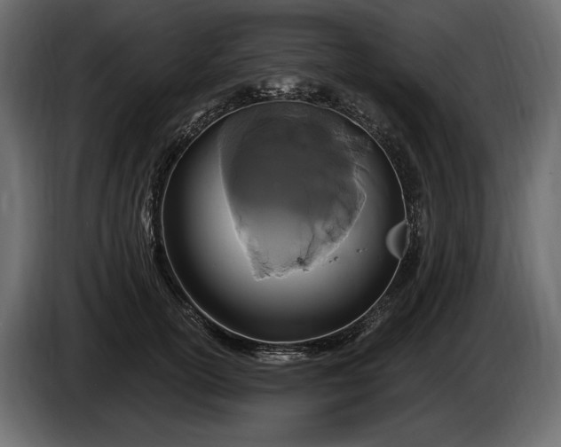 X0000085820754200703231356