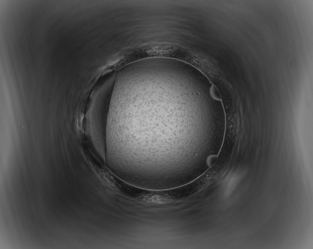 X0000085820755200703231356