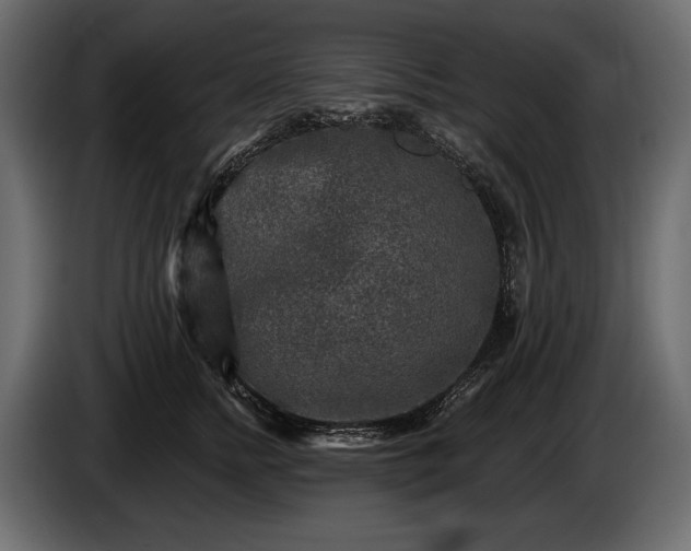 X0000085820758200703231356