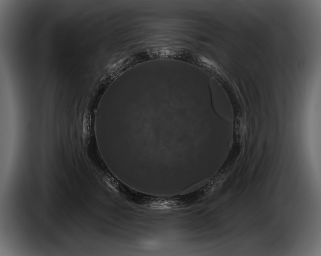X0000085820760200703231356