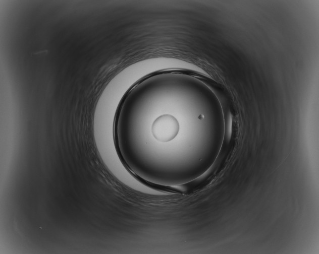 X0000085820762200703231356