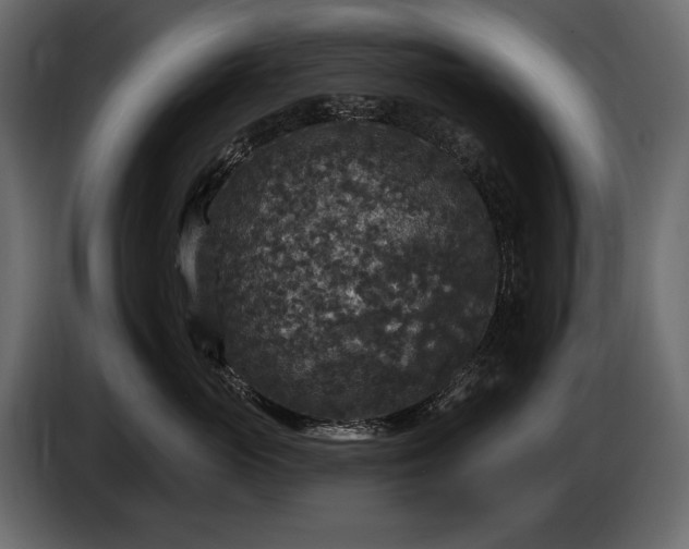 X0000085820765200703231357