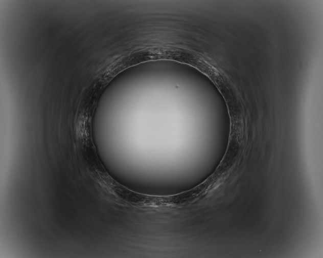 X0000085820770200703231356
