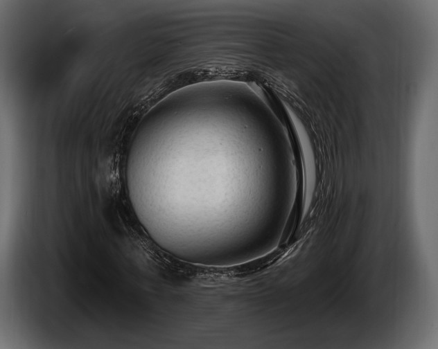 X0000085820771200703231356