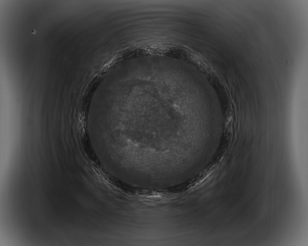 X0000085820772200703231356