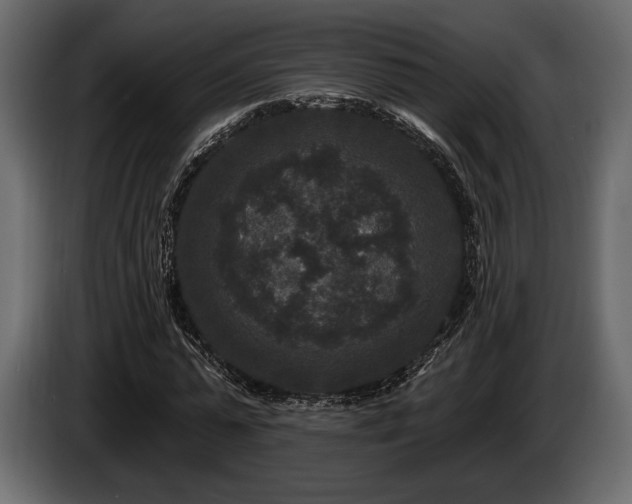 X0000085820775200703231356