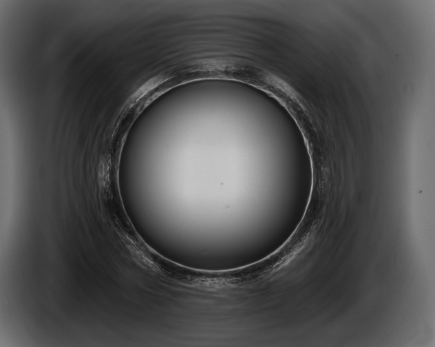 X0000085820778200703231356