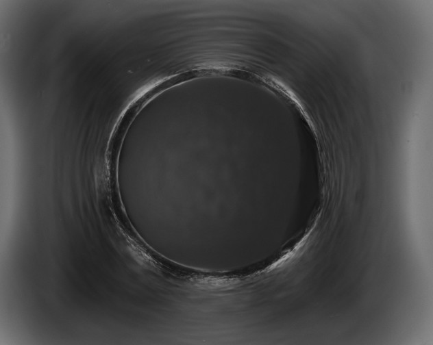 X0000085820779200703231356