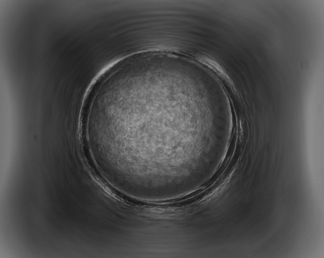 X0000085820780200703231356