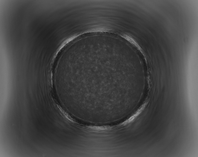 X0000085820781200703231356