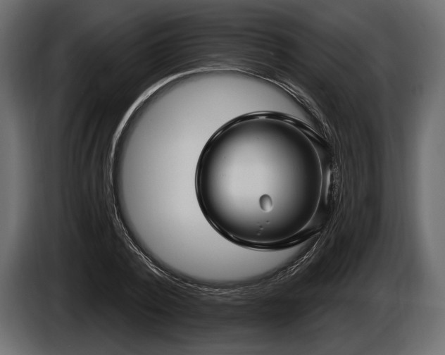 X0000085820784200703231356