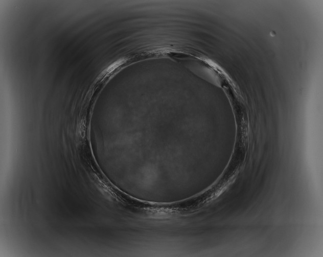 X0000085820785200703231356
