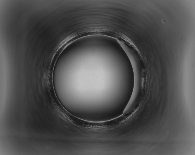 X0000085820786200703231356