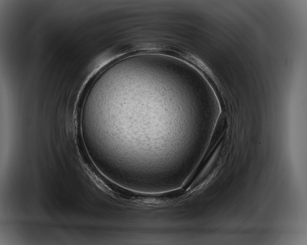 X0000085820787200703231356