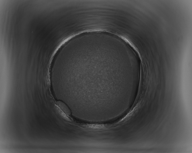 X0000085820789200703231356
