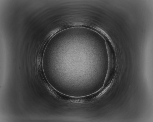 X0000085820793200703231356