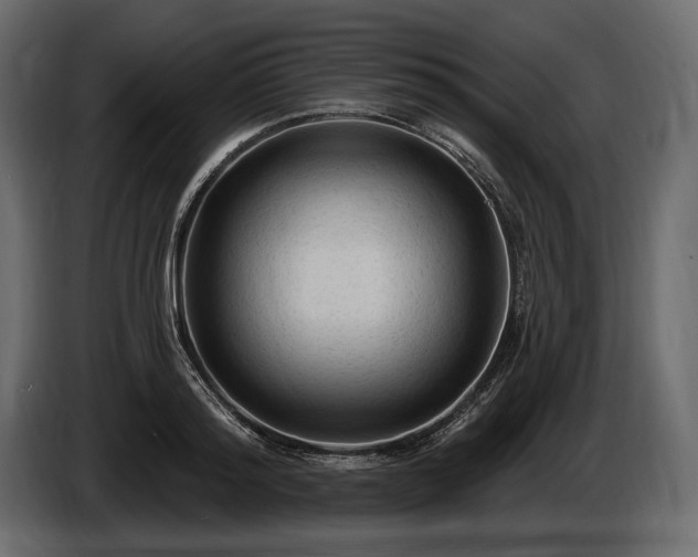 X0000085820796200703231356