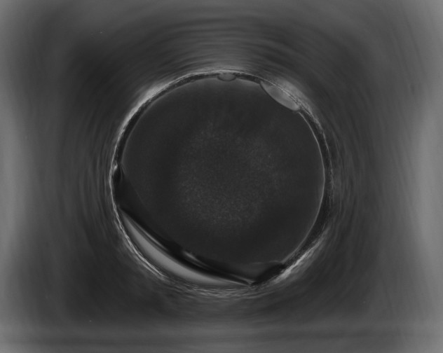 X0000085820797200703231356