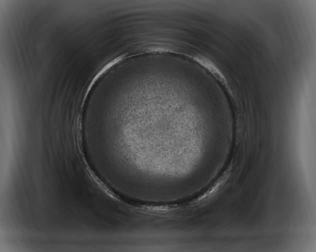 X0000085820798200703231356