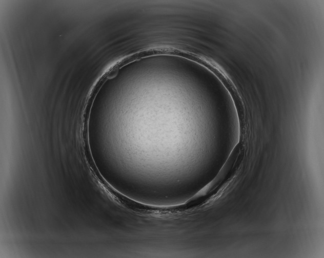 X0000085820799200703231355