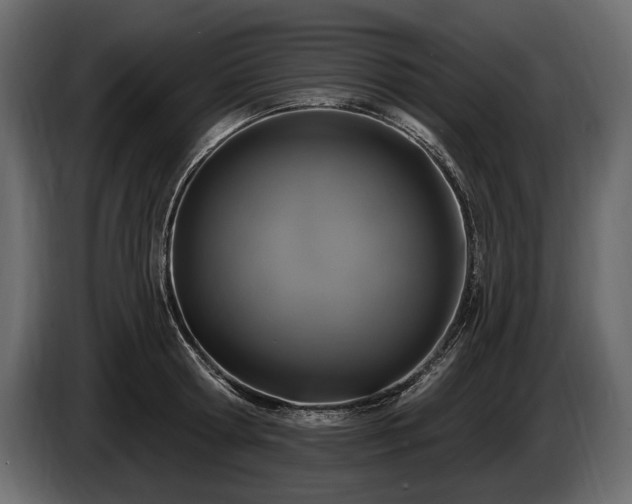 X0000085820802200703231355