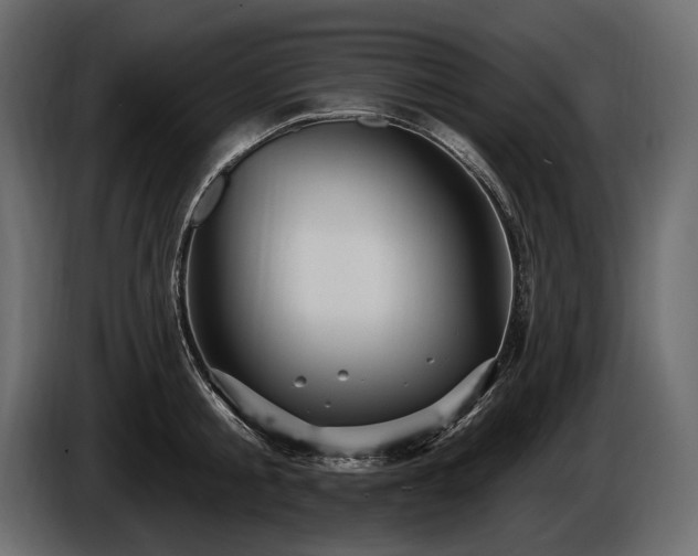 X0000085820805200703231355