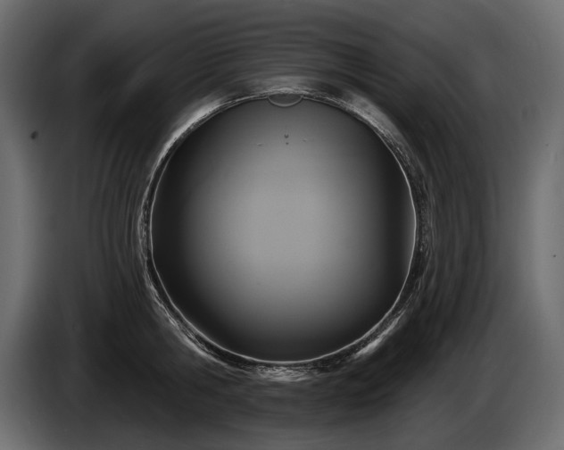 X0000085820806200703231355