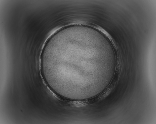 X0000085820807200703231355