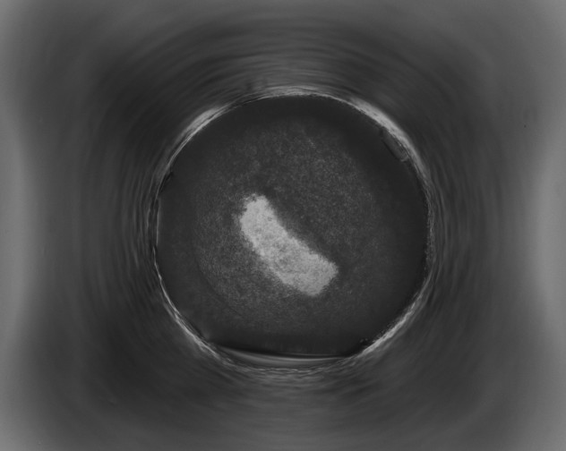 X0000085820809200703231355