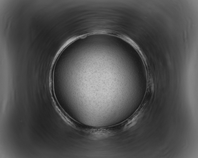 X0000085820811200703231355