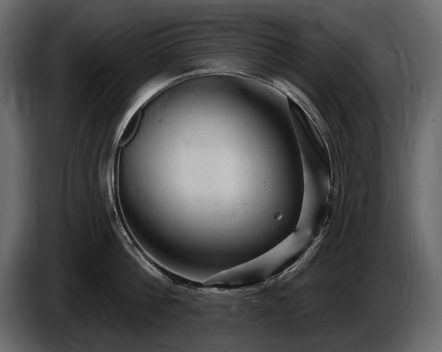 X0000085820812200703231355