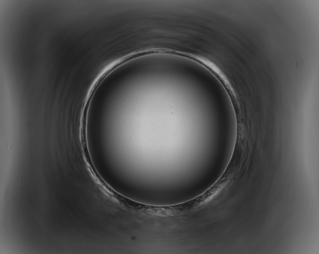 X0000085820815200703231355