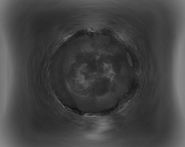 X0000085820817200703231355