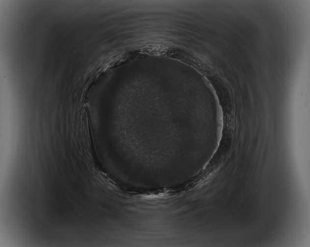 X0000085820818200703231355