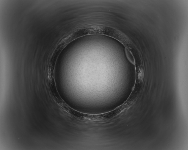 X0000085820819200703231355