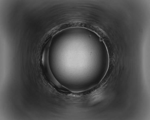 X0000085820821200703231355