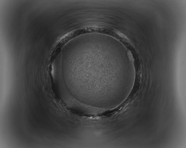 X0000085820822200703231355
