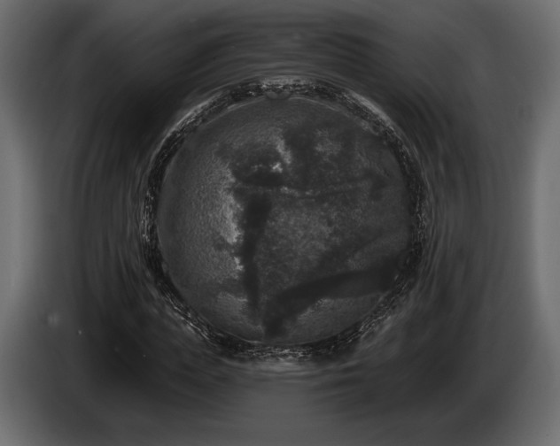 X0000085820823200703231355