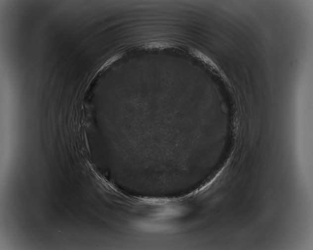 X0000085820825200703231355