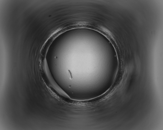 X0000085820827200703231355