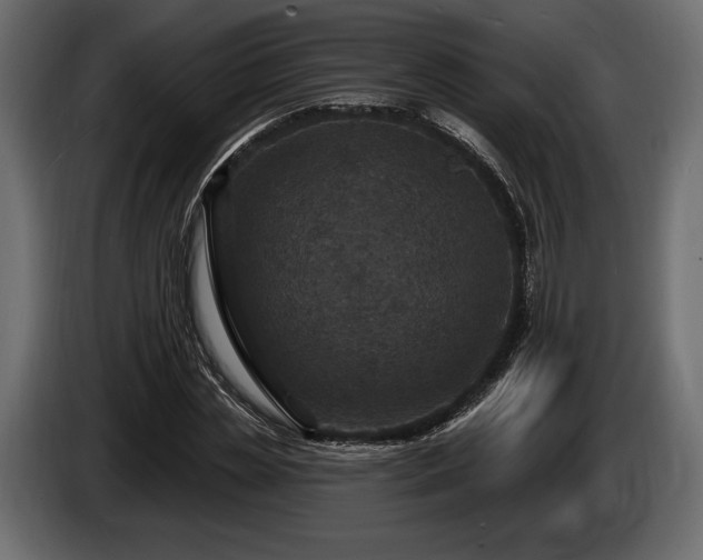 X0000085820829200703231355