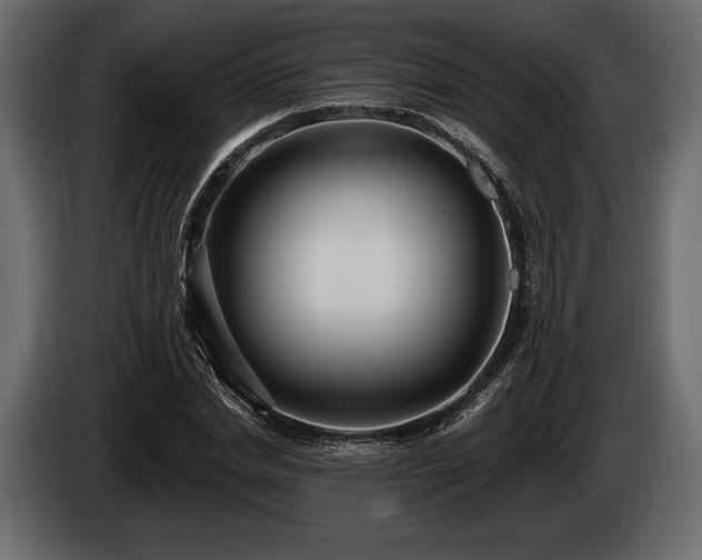 X0000085820830200703231355