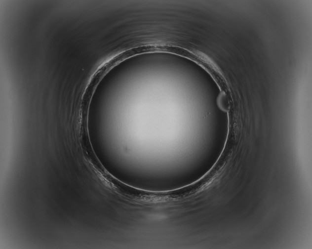 X0000085820831200703231355
